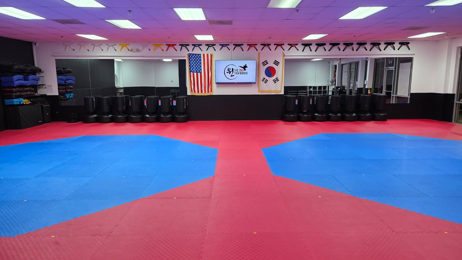 The ONE Taekwondo training floor with red and blue mats